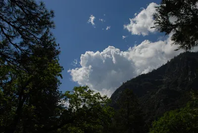 DSC_0091 (Large).JPG